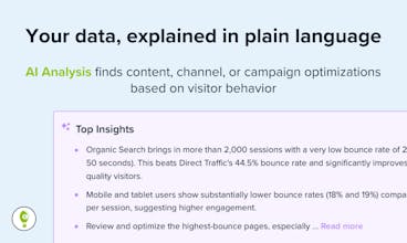 Free AI Analysis for Google Analytics gallery image