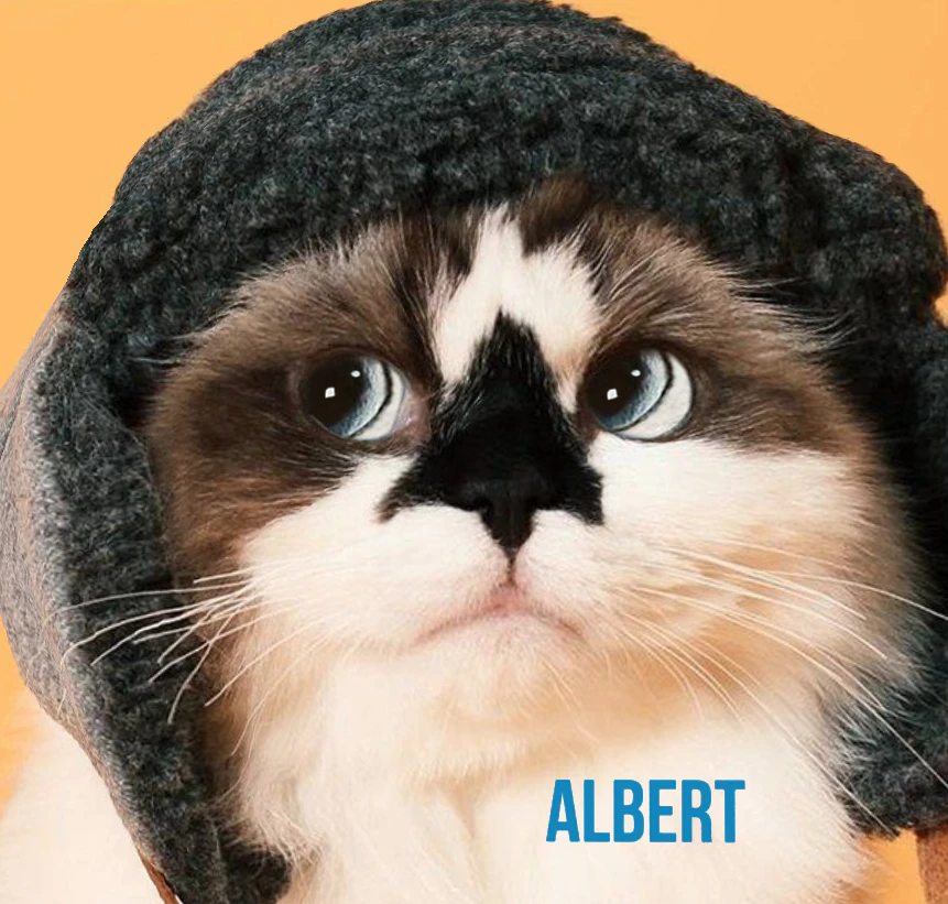 Creepily Realistic 3D Cats