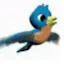 Falcon (Search Engine)
