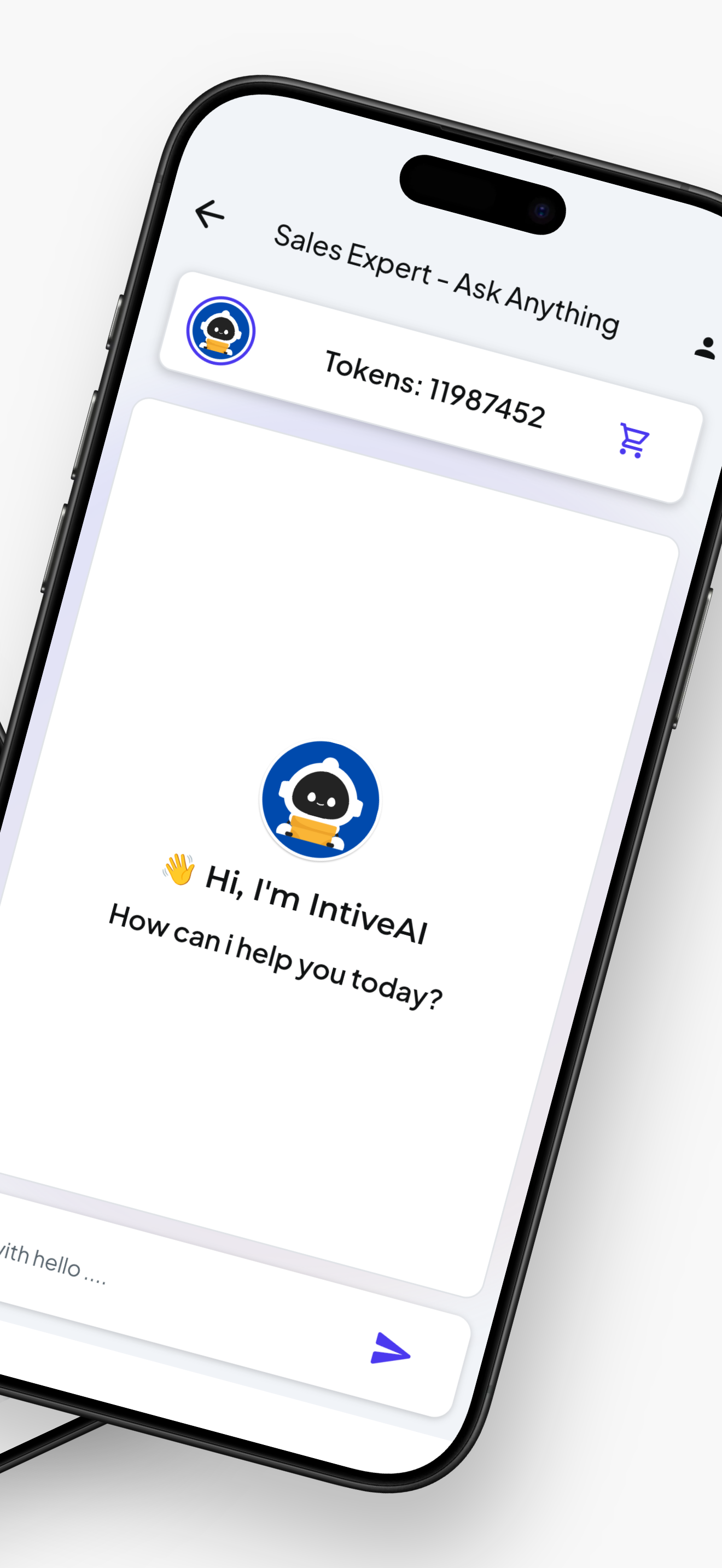 IntiveAi - Sales Expert gallery image