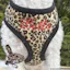 Leopard Print Dog Harness