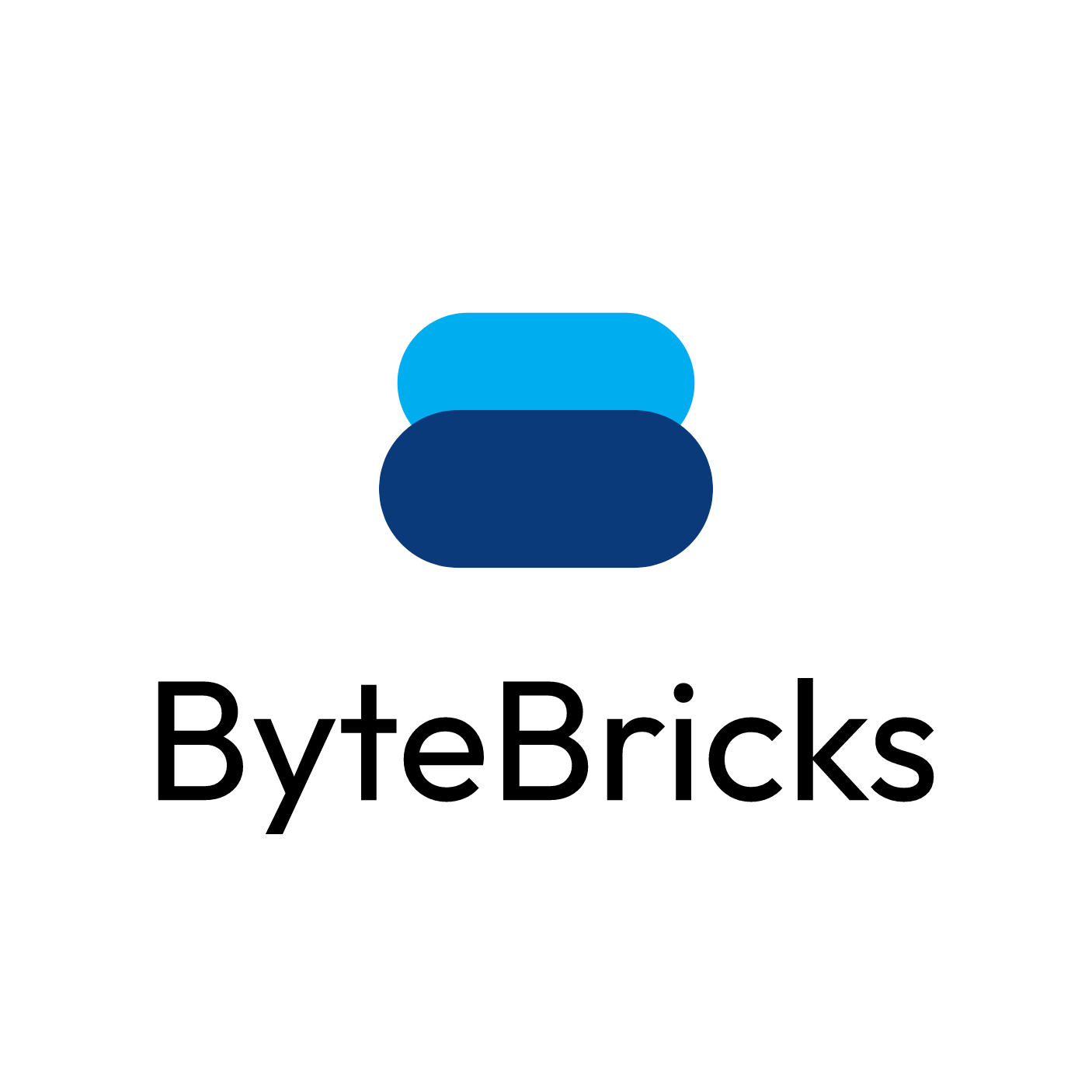 ByteBricks