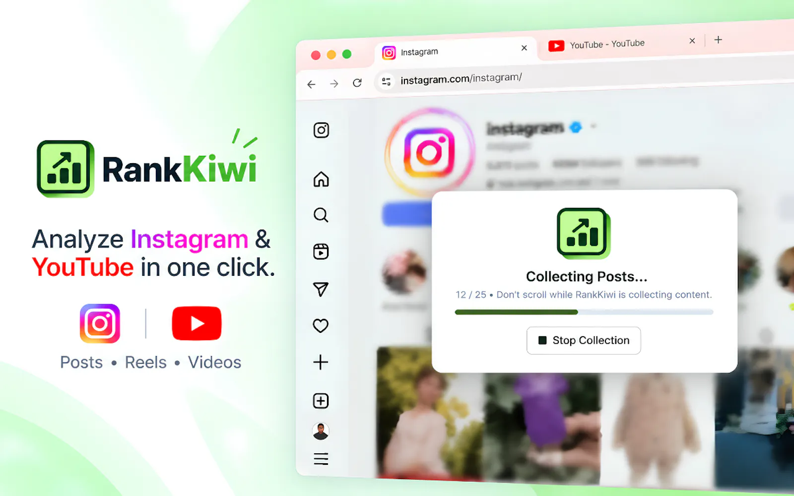 Rank Kiwi screenshot 2