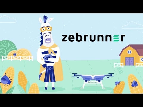 Zebrunner gallery image