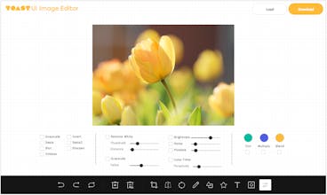 TOAST UI Image Editor gallery image