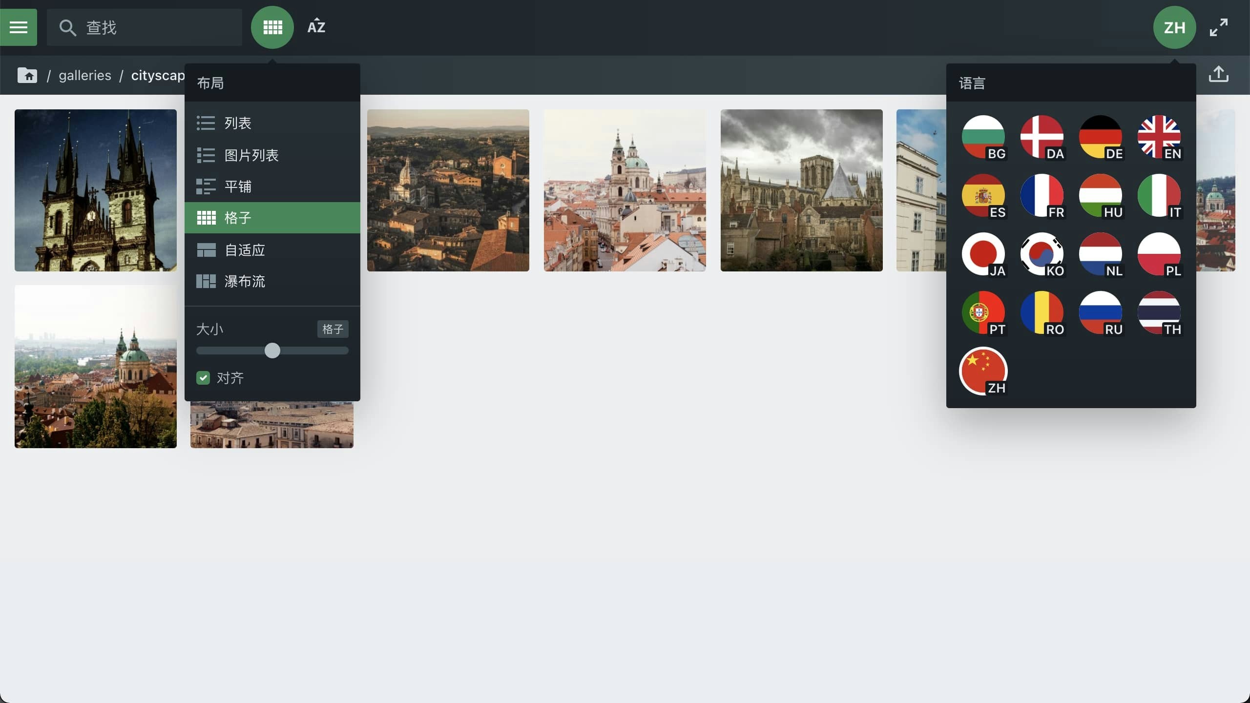 Files App gallery image