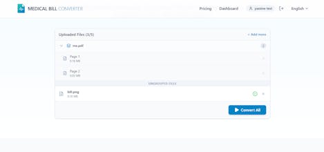 Securely Convert Medical Bills to Excel gallery image