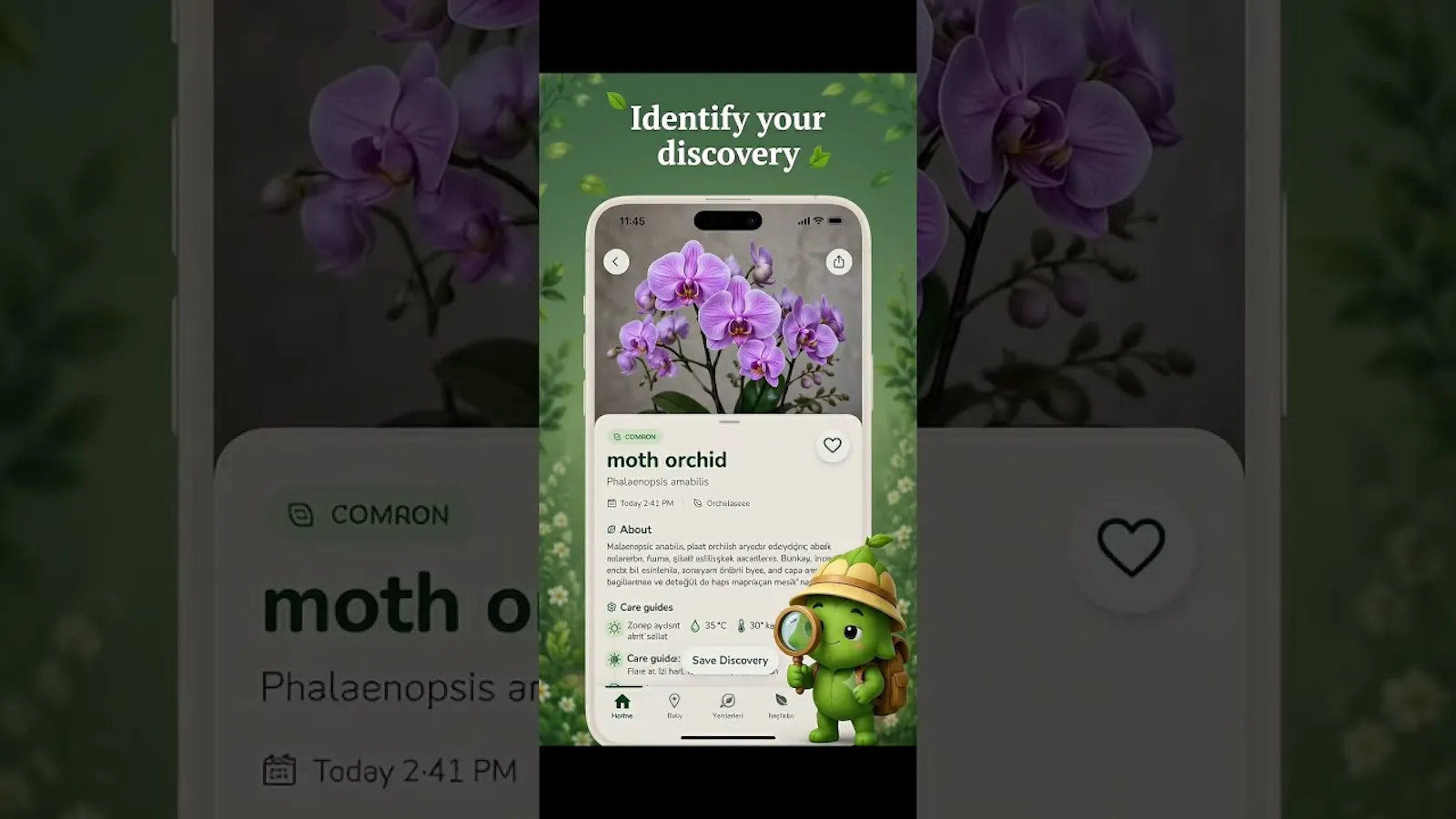 Folivy screenshot 1 (video preview)