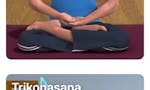Indian Yoga and Meditation image