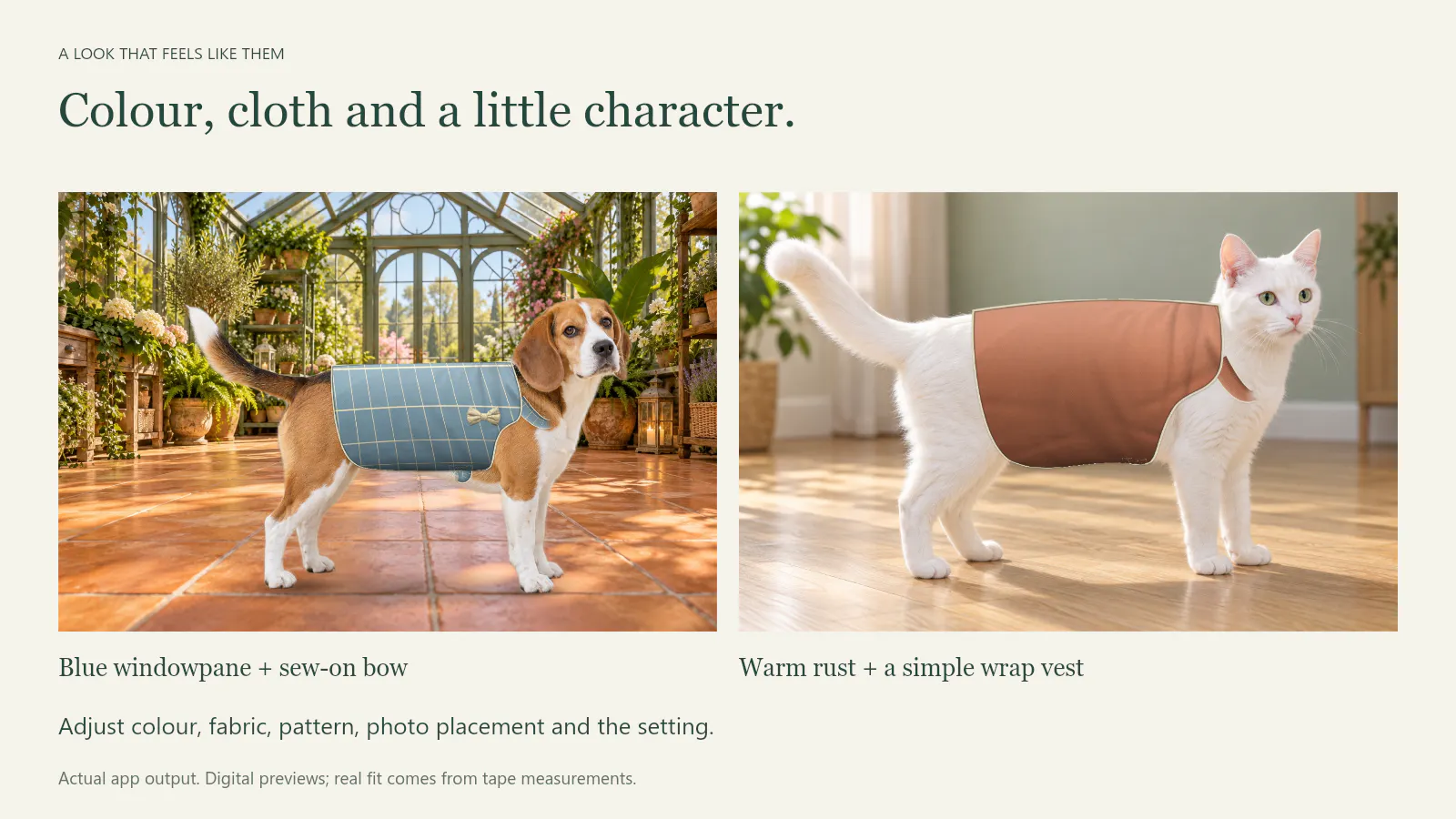Pet Fashion Studio gallery image