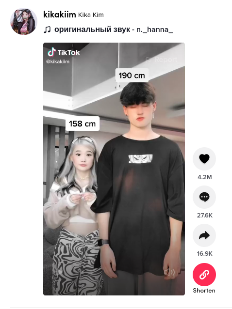 URL Shortener for TikTok gallery image