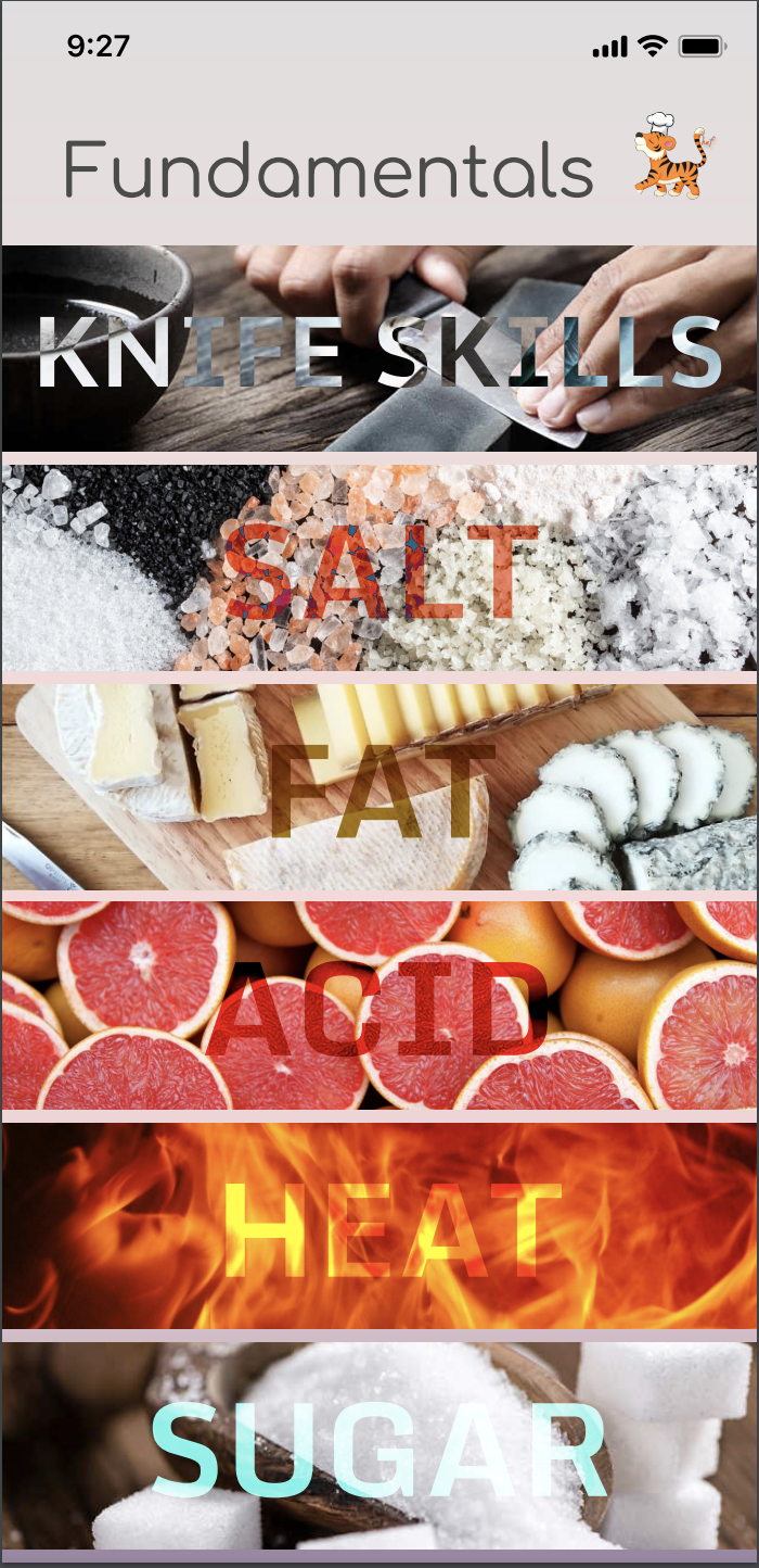 TigerChef Product Information, Latest Updates, and Reviews 2024