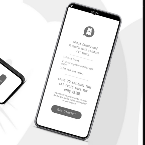 GhostCat gallery image