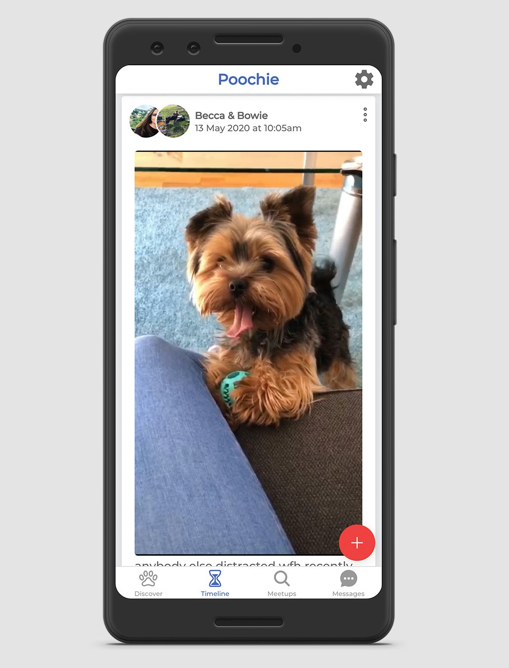 Poochie App gallery image