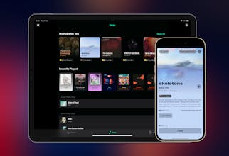 NowPlaying 2.0 - Music Facts gallery image