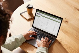 The Monstera gallery image