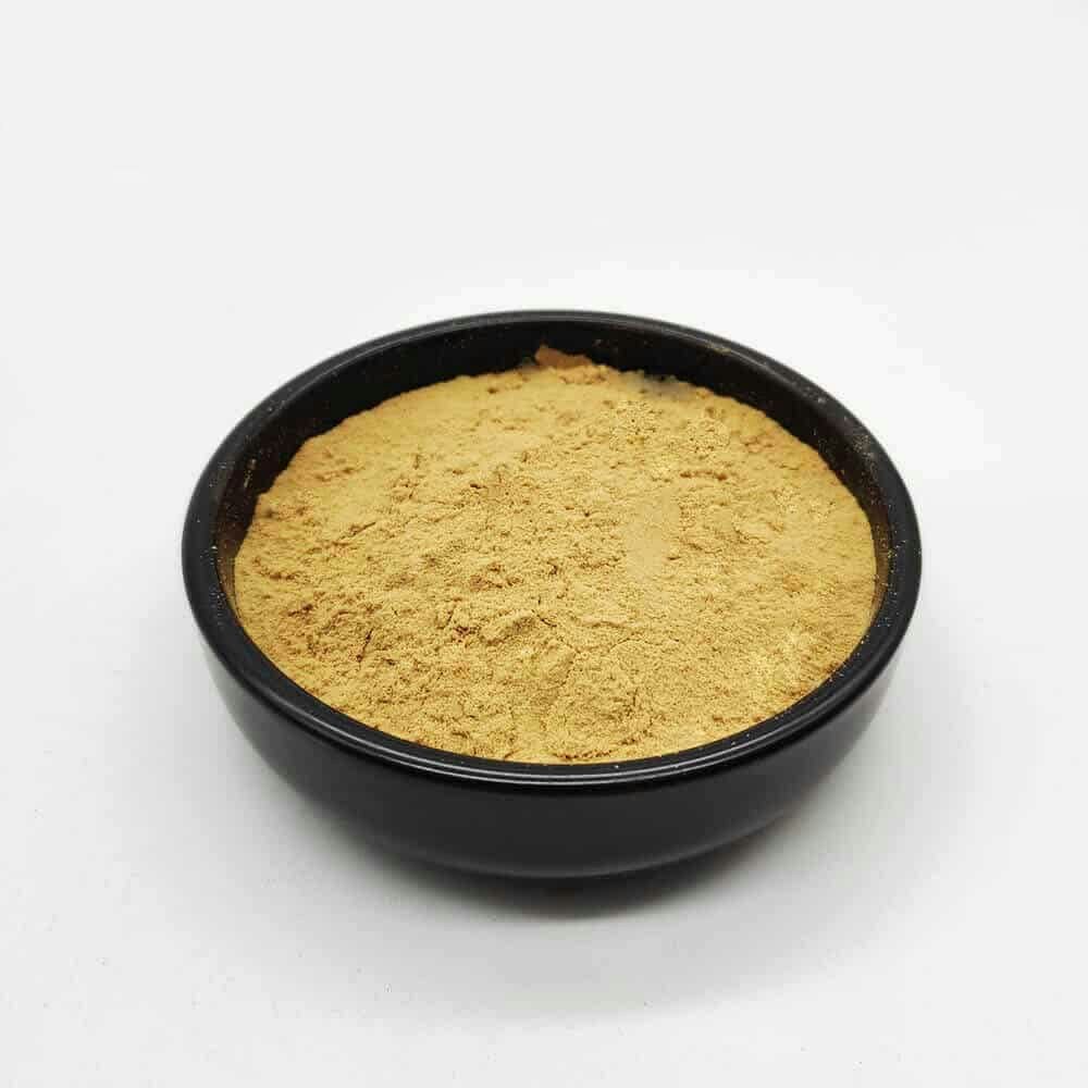 biofertilizantes Bacillus Licheniformis