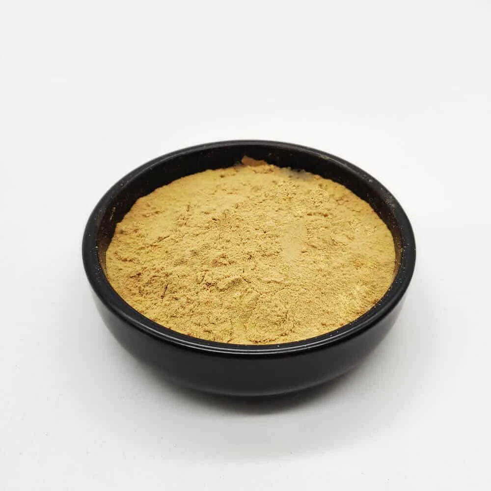 biofertilizantes Bacillus Licheniformis