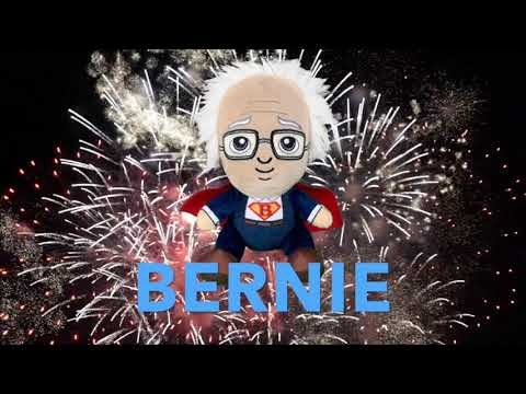 Bernie Babies gallery image