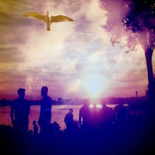 Dubble gallery image