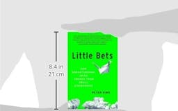 Little Bets media 3