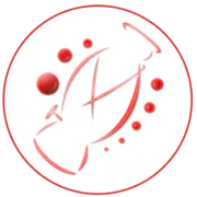 Jinisys Software Inc.