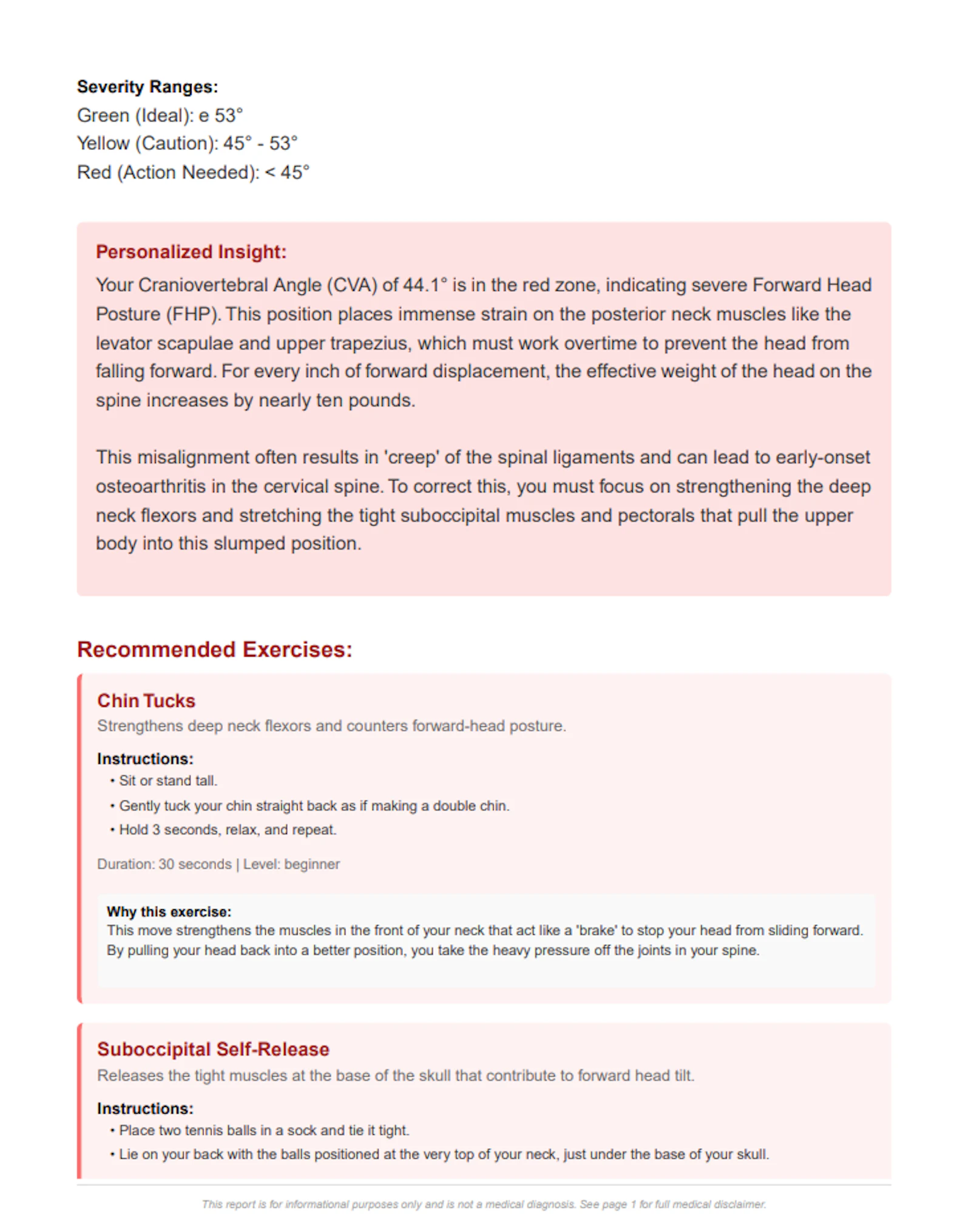 Free Posture Analysis screenshot 7