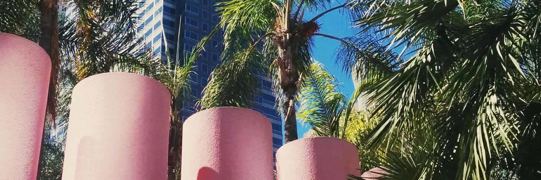 Katelan Cunningham cover