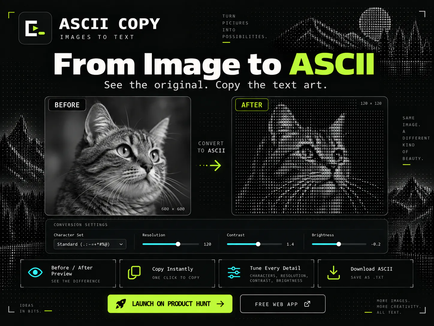 ASCII Studio gallery image