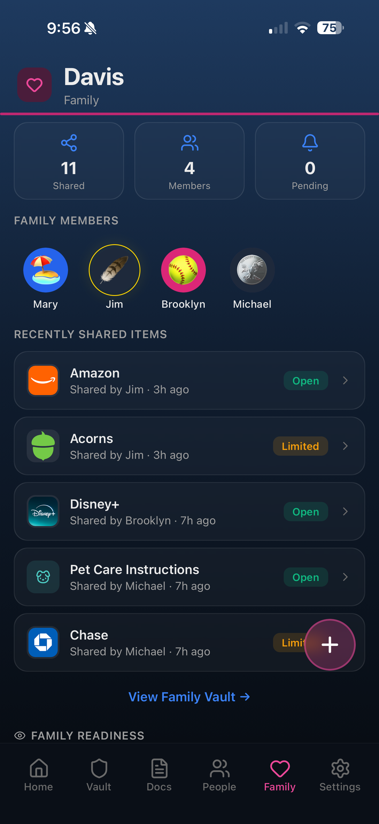 Lifelines Legacy gallery image