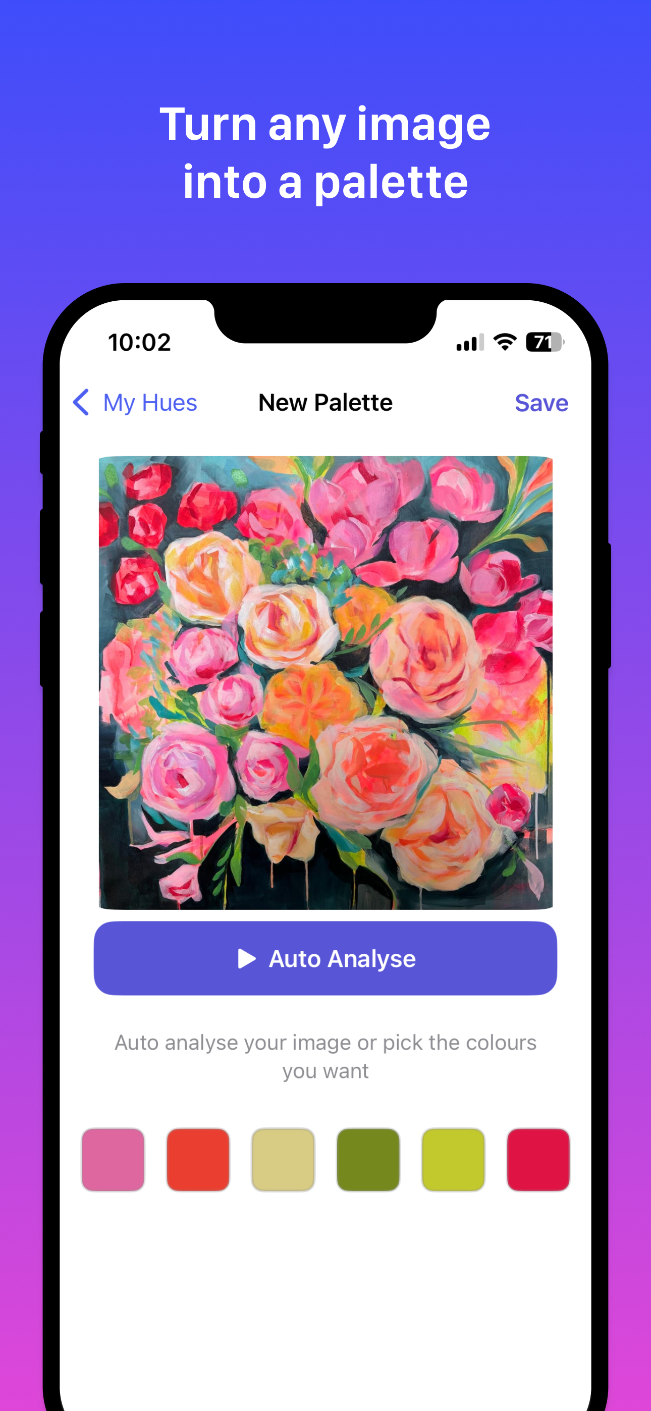 HueBuddy gallery image