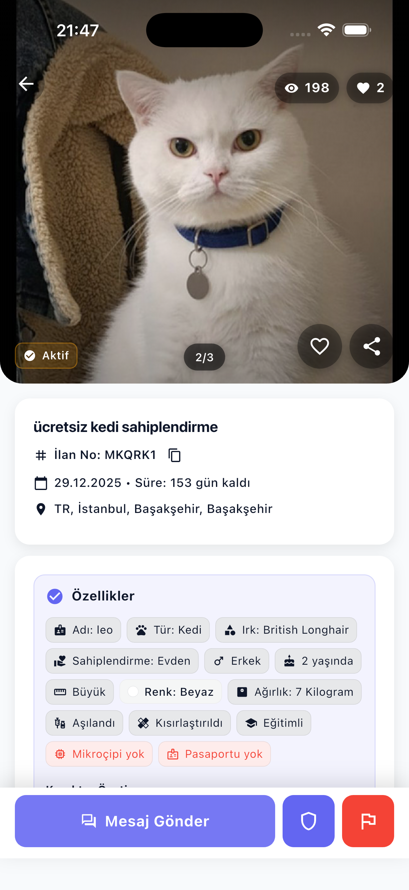 Can Dostun gallery image