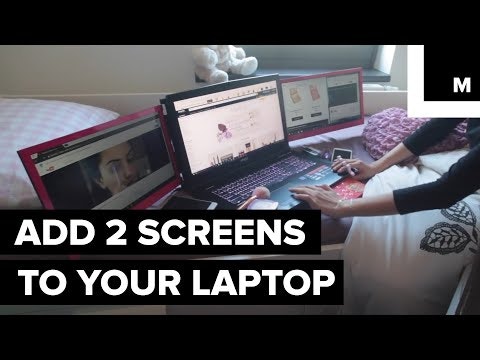 Whaleslide gallery image