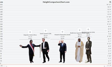 Height Comparison Chart gallery image