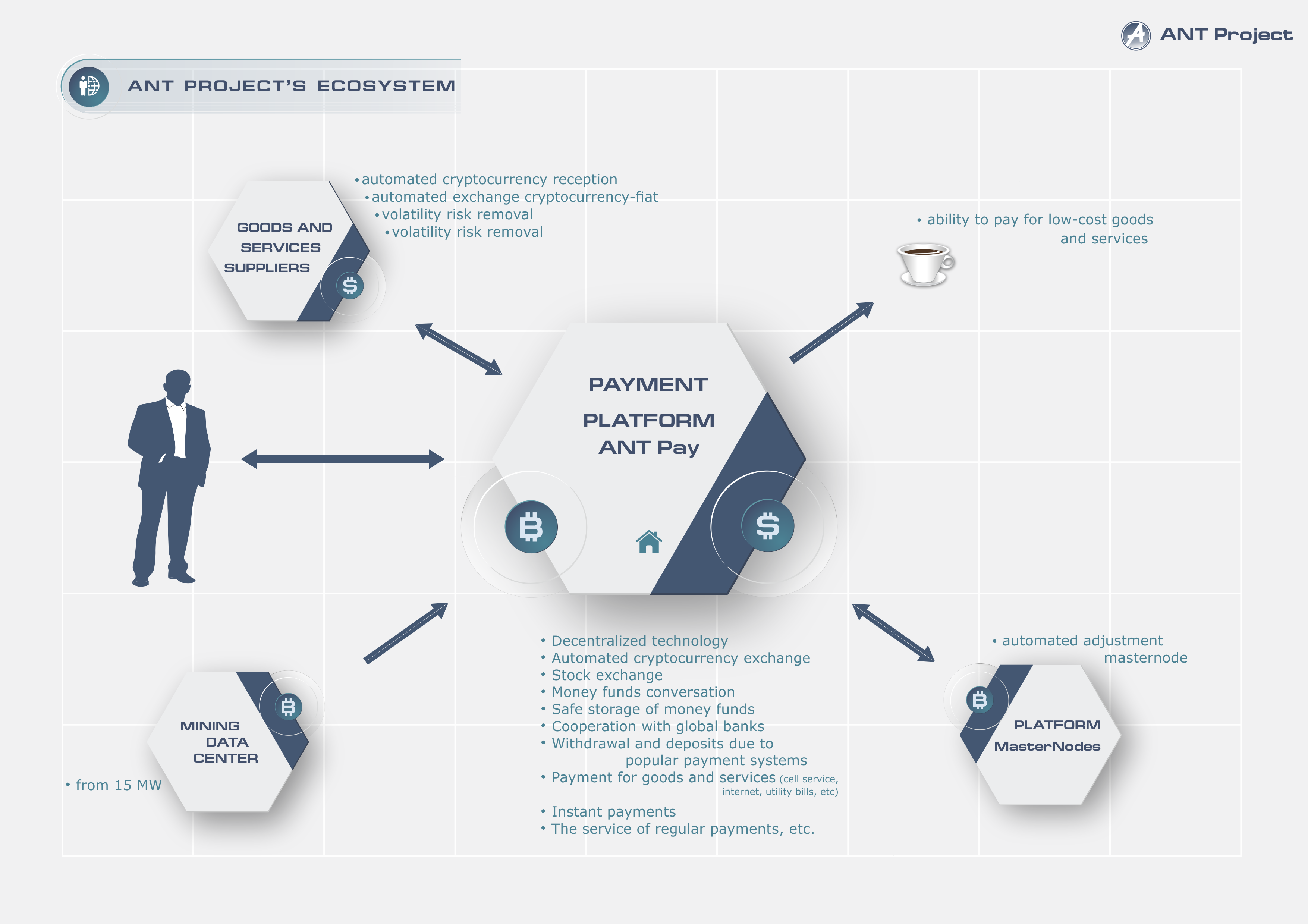 ANT Project gallery image