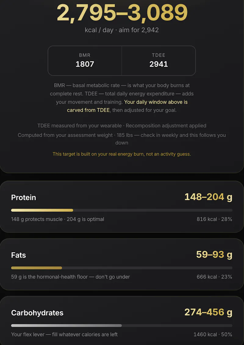 Metriq Body screenshot 2