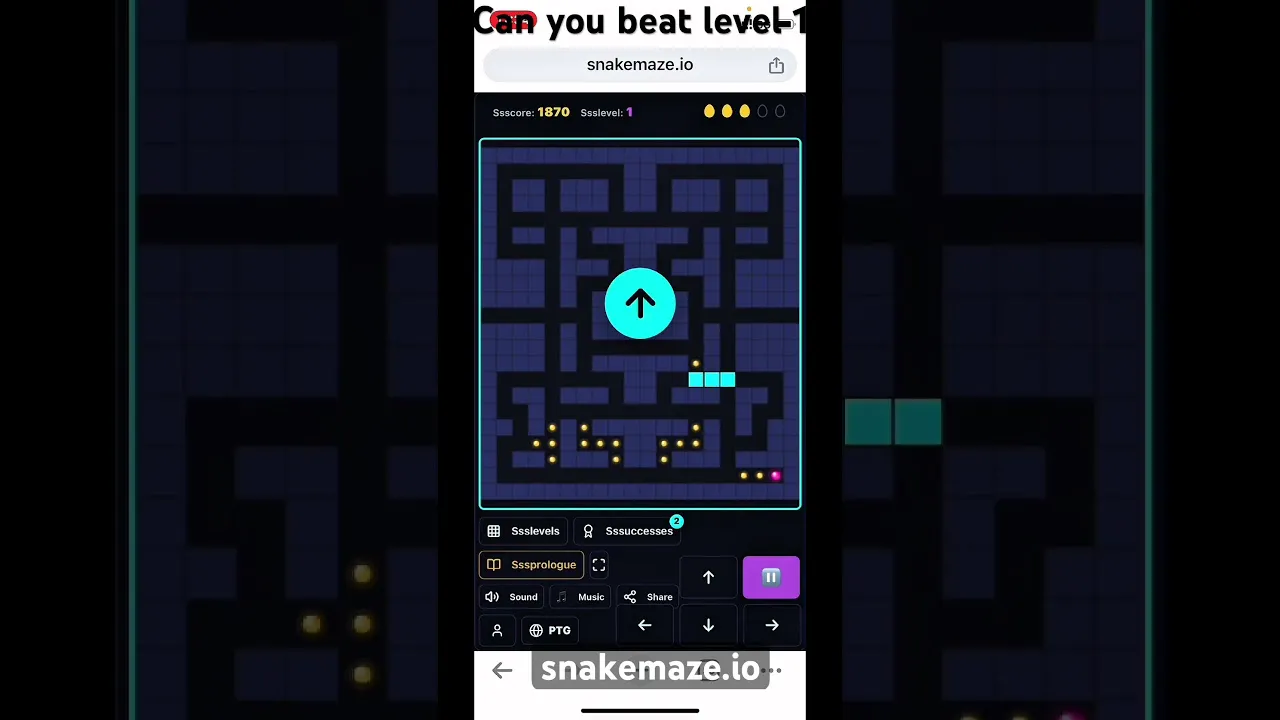 SnakeMaze gallery image