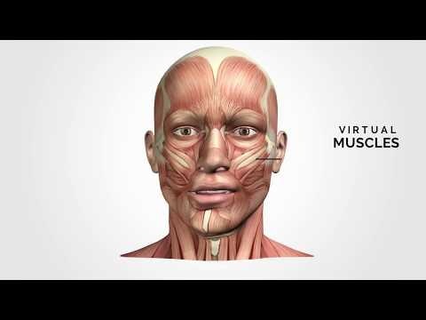 3D animation software gallery image