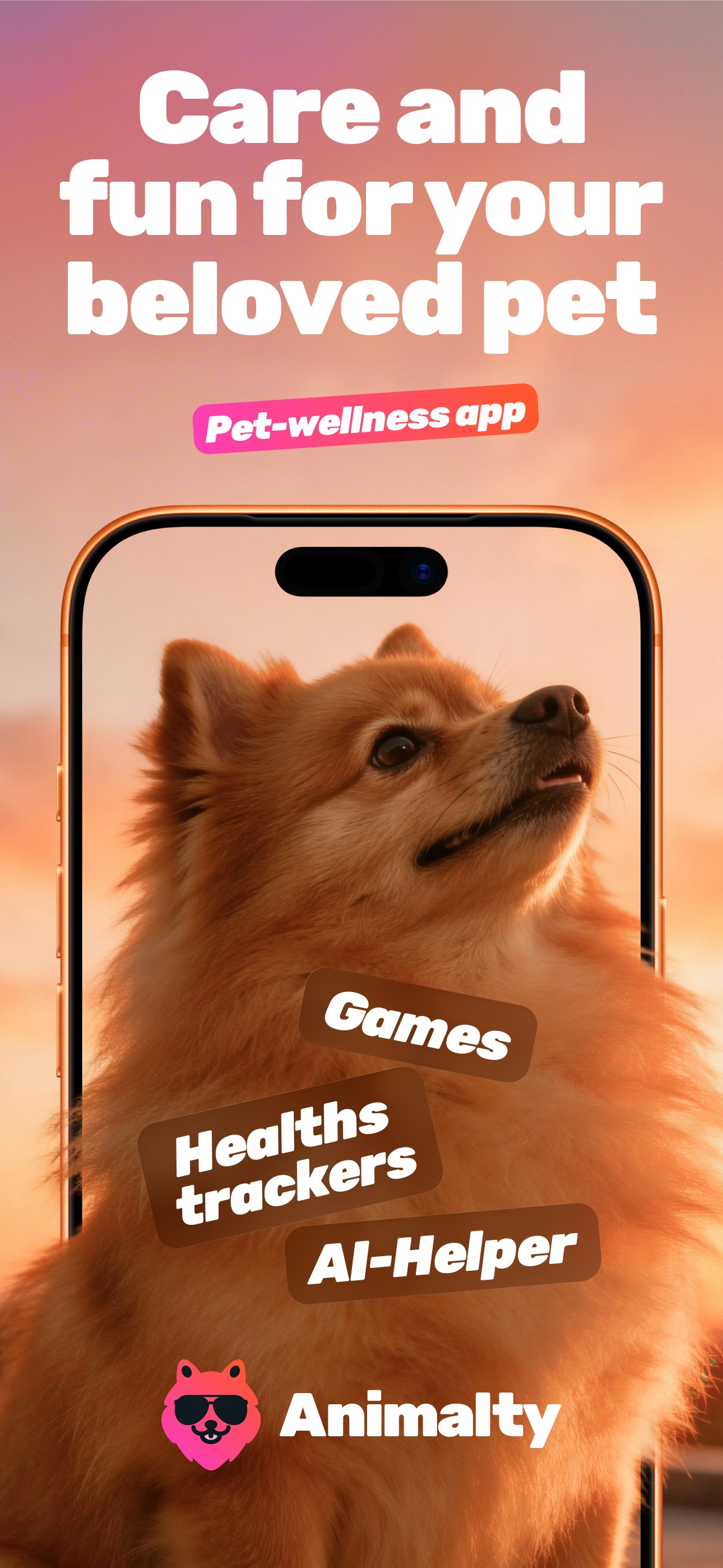 Animalty gallery image
