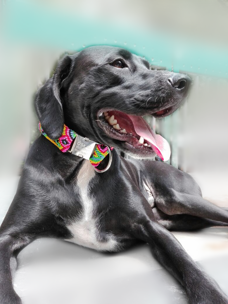 Bacanito gallery image