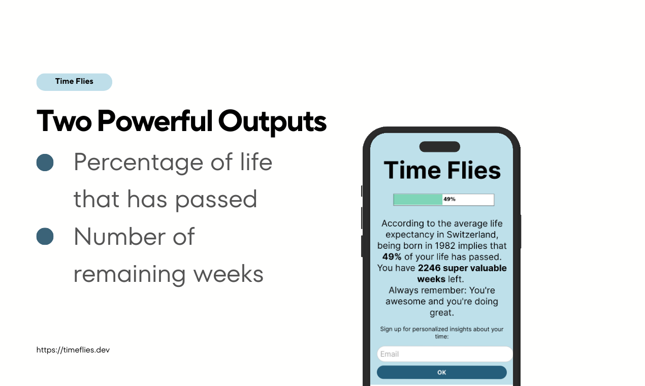 Time Flies gallery image