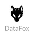 DataFox for Slack