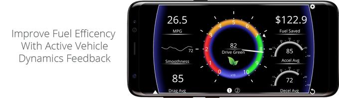 Kiwi 4 gallery image