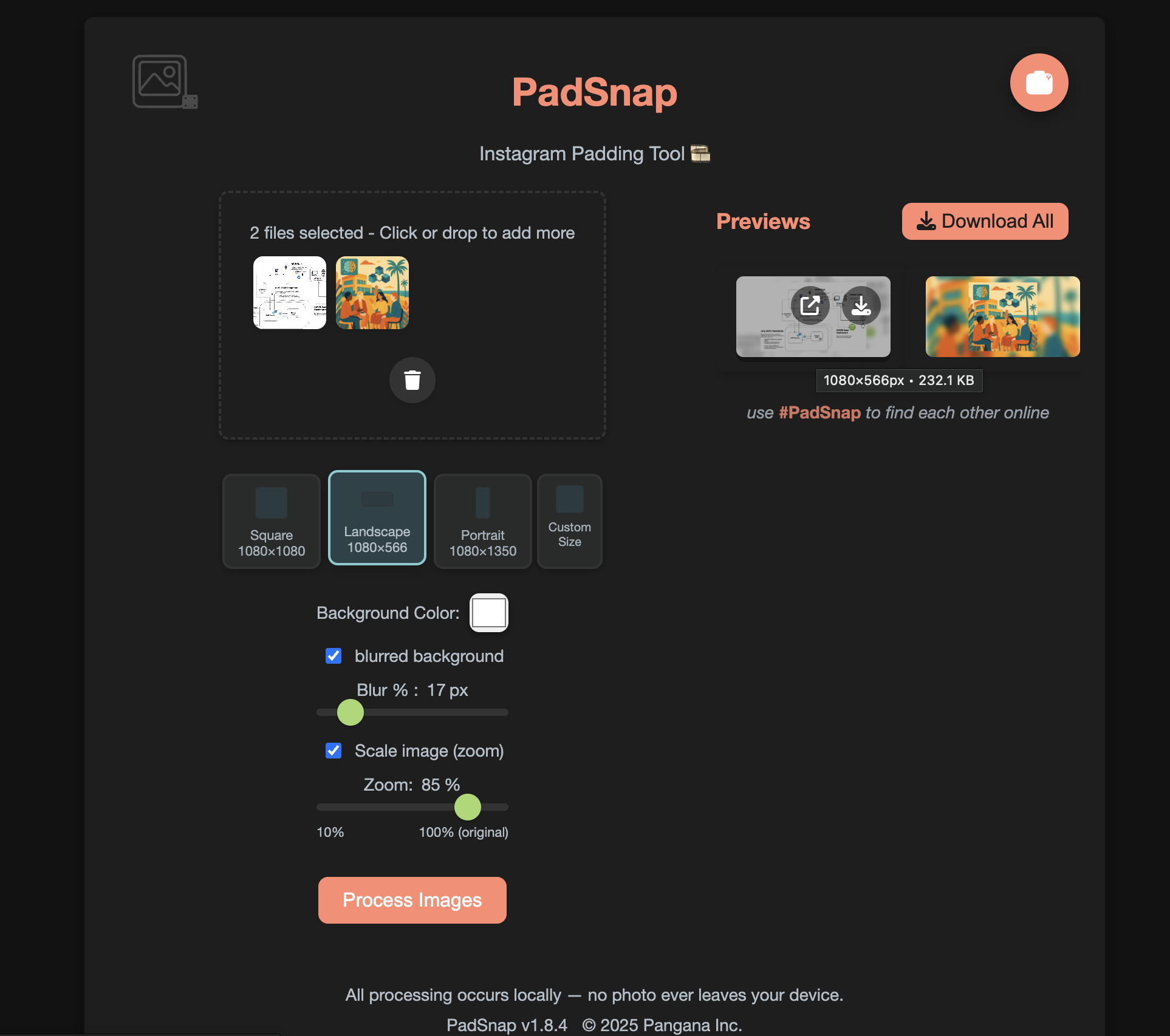 Padsnap - カスタムサイズに画像をパディングし、痛みがない。メディア3