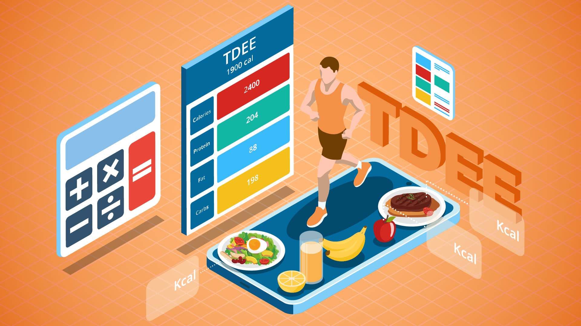 TDEE Calculator｜Free, Stay Fit media 1