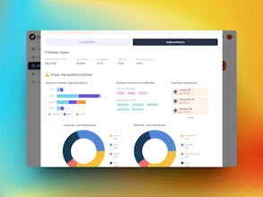 Creator Discovery Tool by CrowdPad gallery image