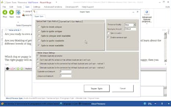 SpinnerChief gallery image