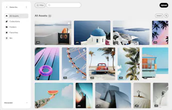 Daminik gallery image