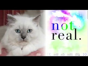 Not Real Cats gallery image