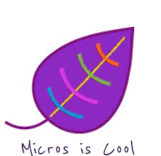 Micros school gallery image